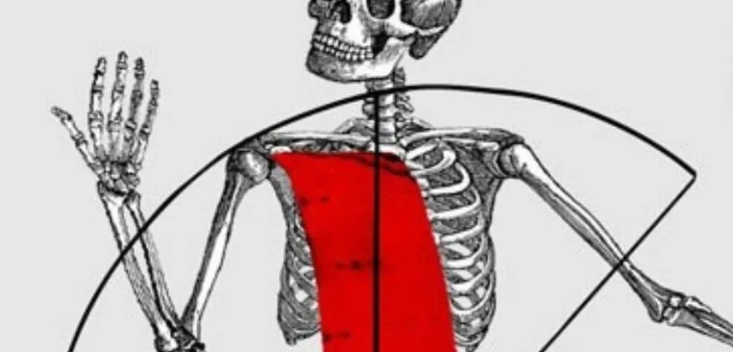 Ilustración de una calavera con banda roja del cartel del Altar de Muertos 2026 de la Universidad del Claustro de Sor Juana
