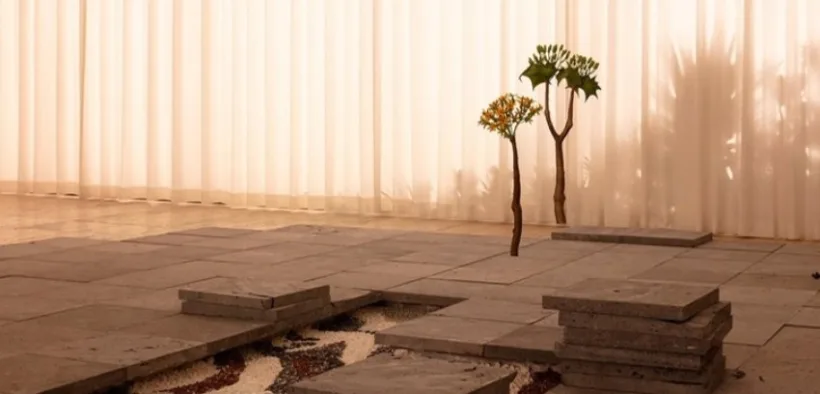 Instalación con losas de piedra y plantas frente a una cortina iluminada en la exposición Helen del Museo Jumex