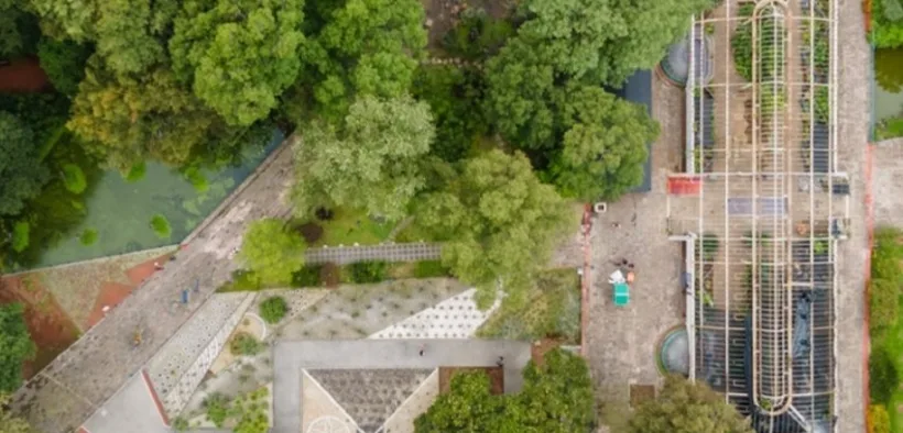 Vista aérea del Orquidiario del Jardín Botánico rodeado de árboles en el Bosque de Chapultepec