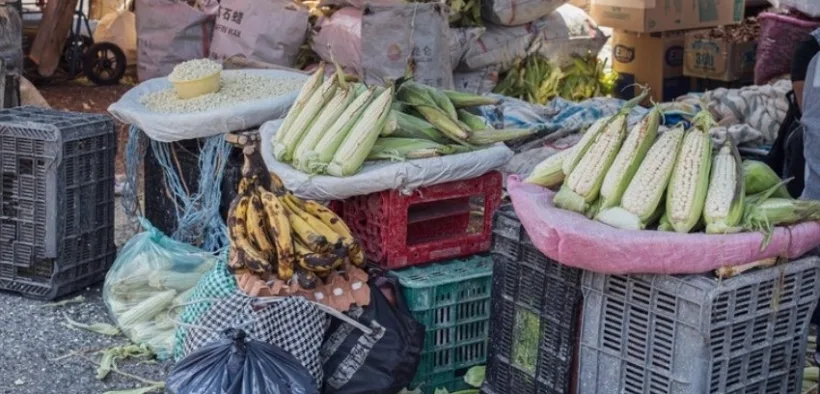 Puesto en la calle con elotes, plátanos y costales sobre cajas de plástico en un mercado de la Ciudad de México