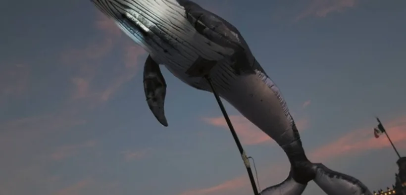 Escultura de una ballena suspendida al atardecer, imagen de la ficha de la exposición Desde el umbral del MUAC