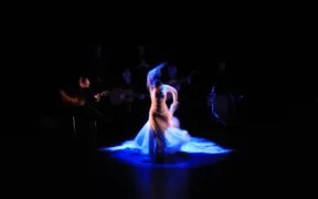 Bailarina de flamenco en escena