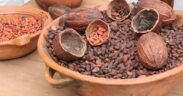 Granos y cáscaras de cacao en recipientes de barro, fotografía de 2021. Imagen documental del producto protagonista; no corresponde al Festival Cacao Para Todos de 2026 ni a uno de sus puestos.