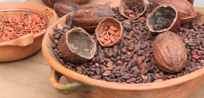 Granos y cáscaras de cacao en recipientes de barro, fotografía de 2021. Imagen documental del producto protagonista; no corresponde al Festival Cacao Para Todos de 2026 ni a uno de sus puestos.