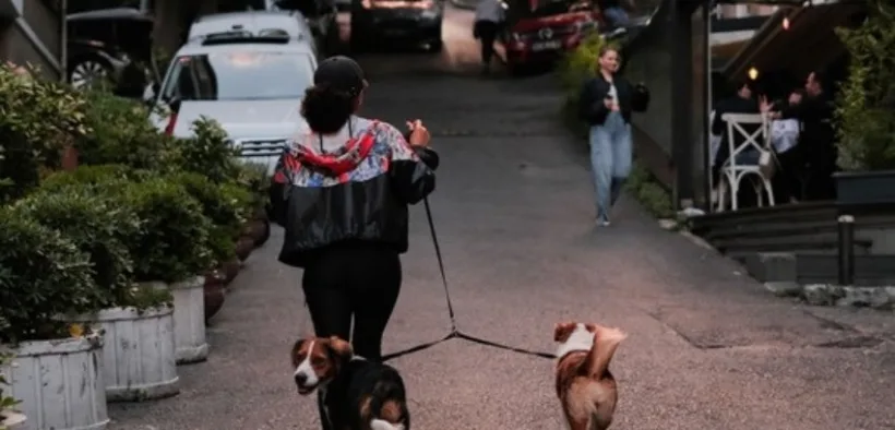 Mujer camina por una calle arbolada mientras pasea a dos perros con correa al atardecer