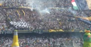 Afición de Pumas en las gradas de Ciudad Universitaria