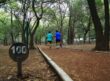 Corredores en el Circuito Gandhi de Chapultepec; fotografía documental de archivo, no de la Carrera Ángeles 2026.