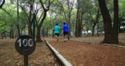 Corredores en el Circuito Gandhi de Chapultepec; fotografía documental de archivo, no de la Carrera Ángeles 2026.