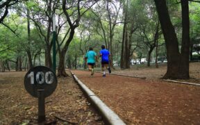 Corredores en el Circuito Gandhi de Chapultepec; fotografía documental de archivo, no de la Carrera Ángeles 2026.