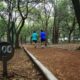 Corredores en el Circuito Gandhi de Chapultepec; fotografía documental de archivo, no de la Carrera Ángeles 2026.