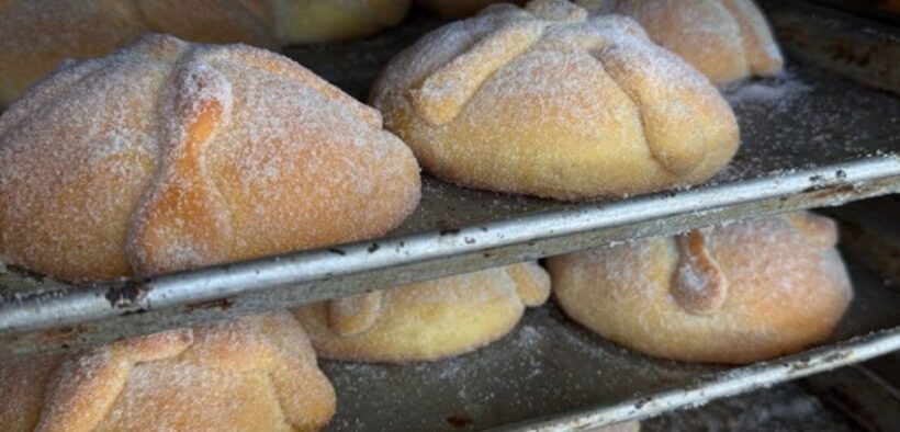 Panes de muerto recién horneados, espolvoreados con azúcar, en las charolas de una panadería